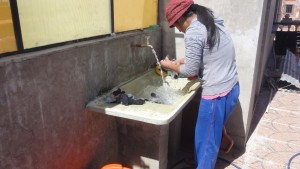 DSC09750