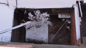 DSC09851